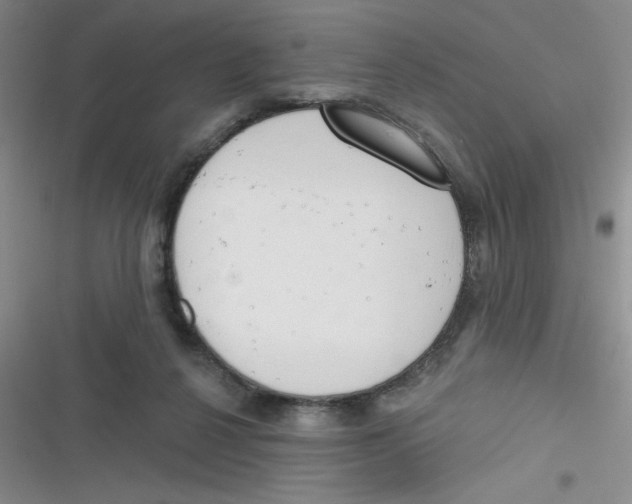 X0000116830264201001081444