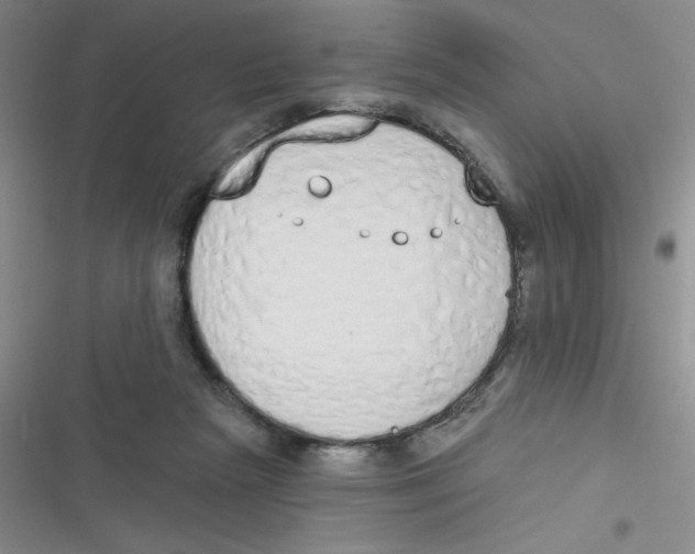 X0000116830265201001081444