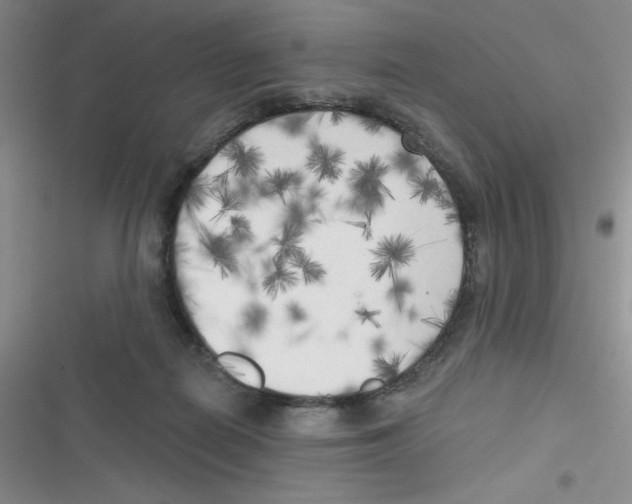 X0000116830266201001081444