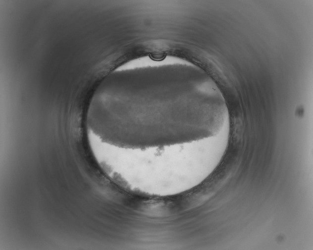 X0000116830267201001081444