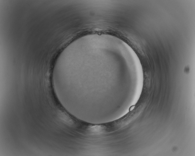 X0000116830269201001081444