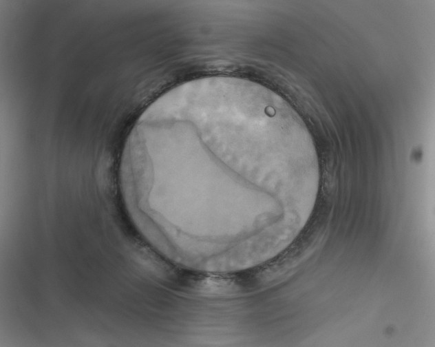 X0000116830270201001081444