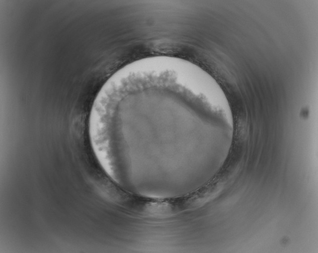 X0000116830271201001081444