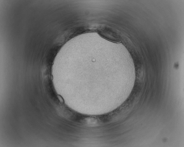 X0000116830272201001081444