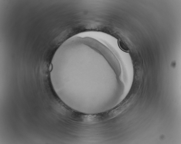 X0000116830273201001081444