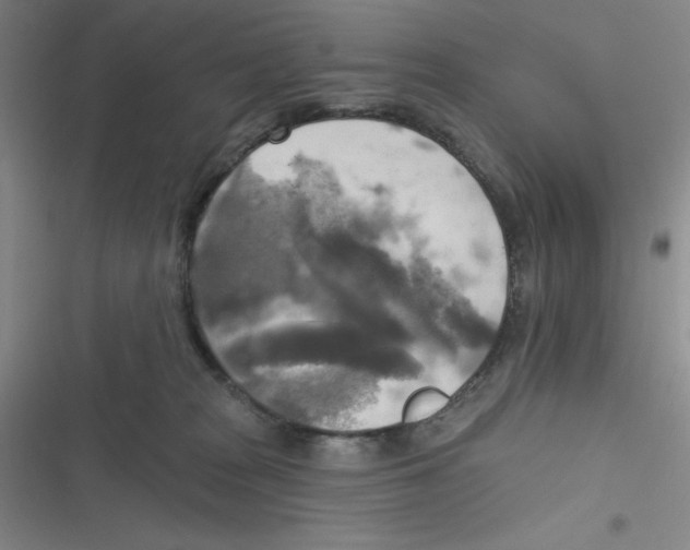 X0000116830277201001081444