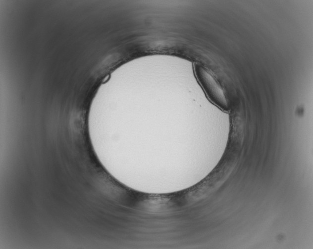 X0000116830278201001081444