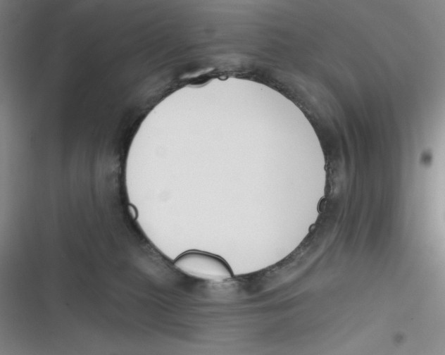 X0000116830279201001081444