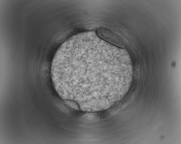 X0000116830280201001081444