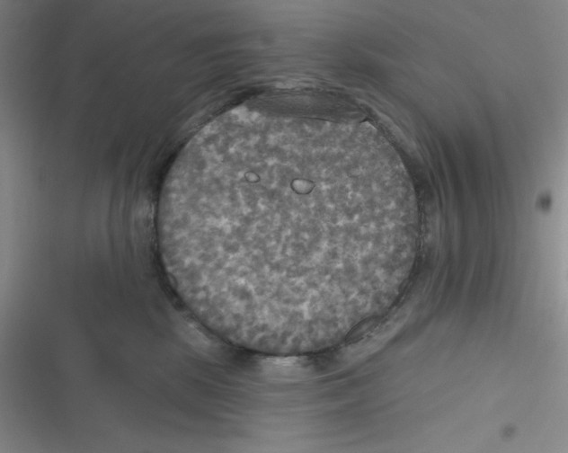 X0000116830281201001081444