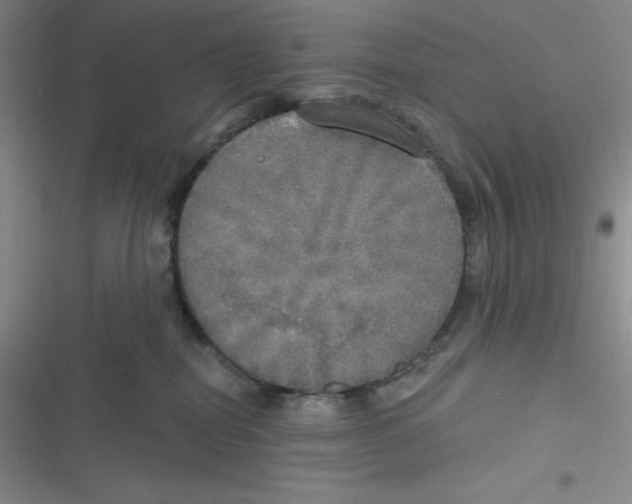 X0000116830282201001081444