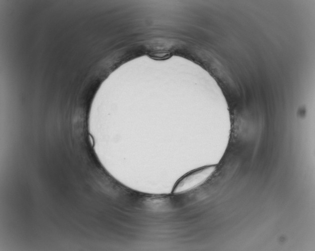 X0000116830283201001081444