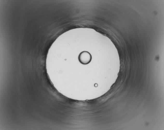 X0000116830284201001081444