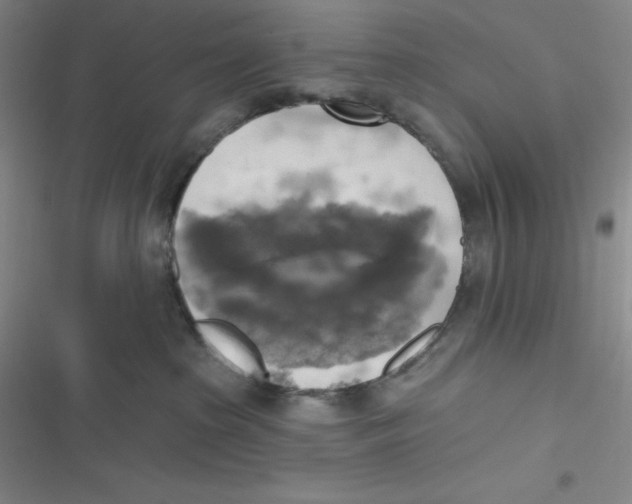 X0000116830285201001081444