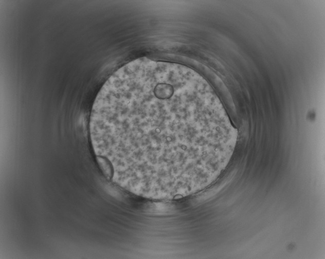 X0000116830286201001081444