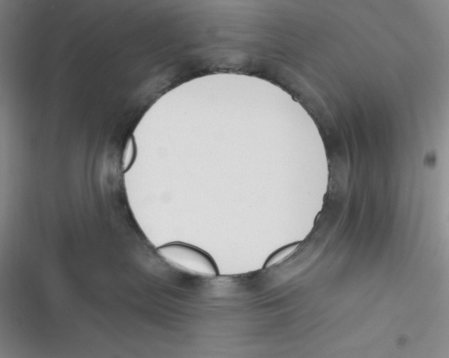 X0000116830287201001081444