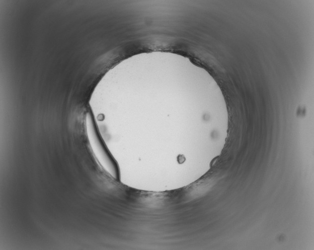 X0000116830288201001081444