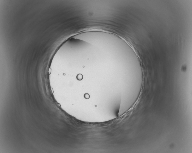 X0000116830289201001081443