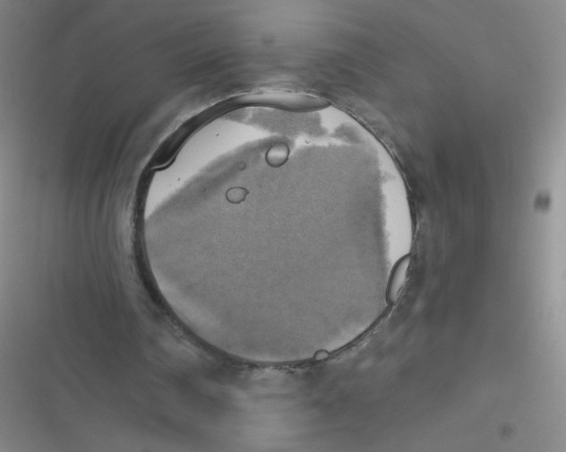 X0000116830290201001081443