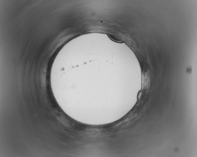 X0000116830291201001081443