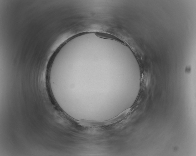 X0000116830292201001081443