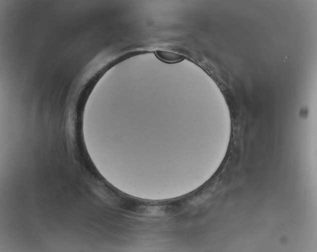 X0000116830295201001081443