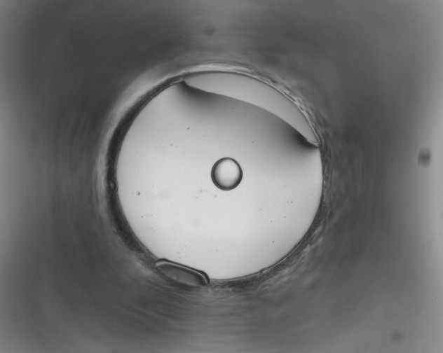 X0000116830296201001081443