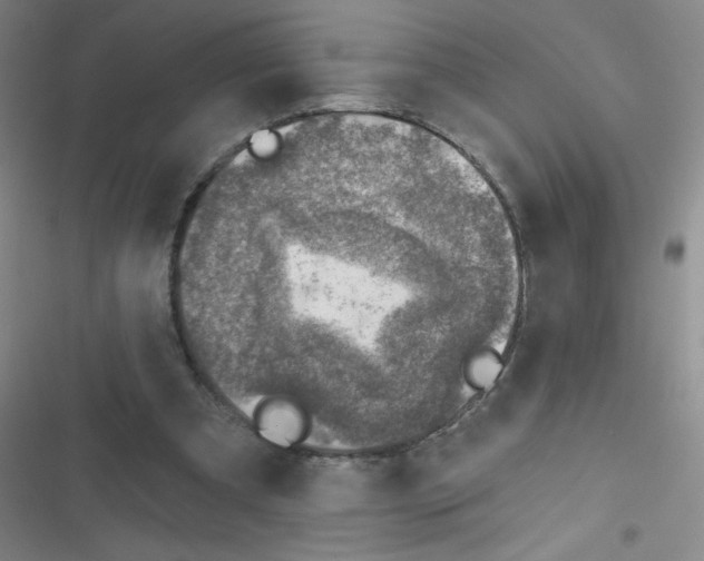 X0000116830297201001081443