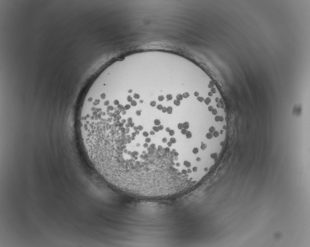 X0000116830298201001081443