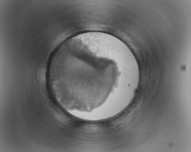 X0000116830299201001081443