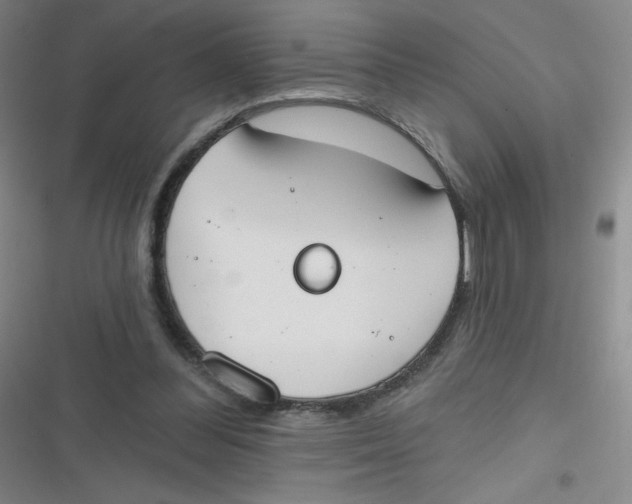 X0000116830300201001081443