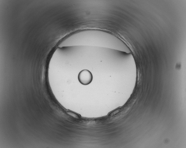 X0000116830301201001081443