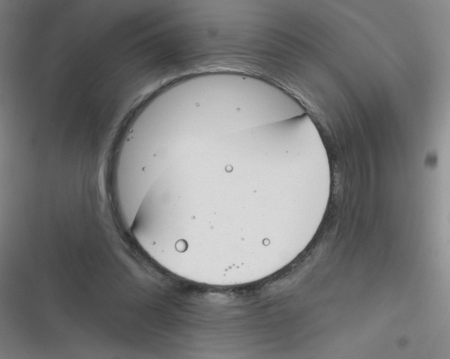 X0000116830302201001081443