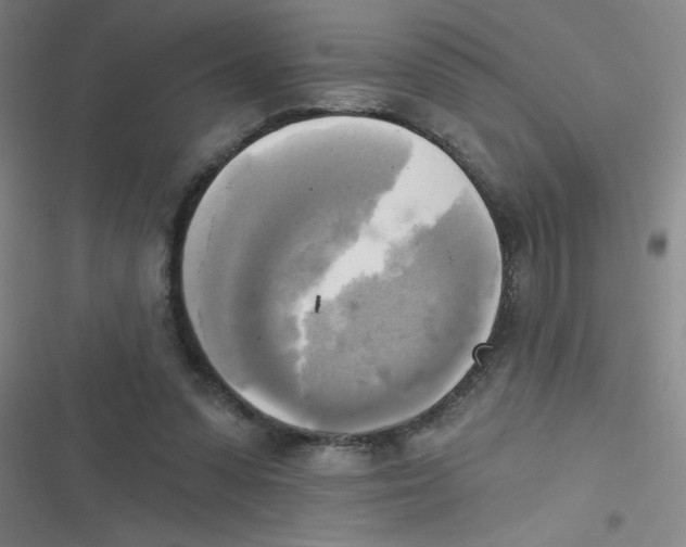 X0000116830303201001081443