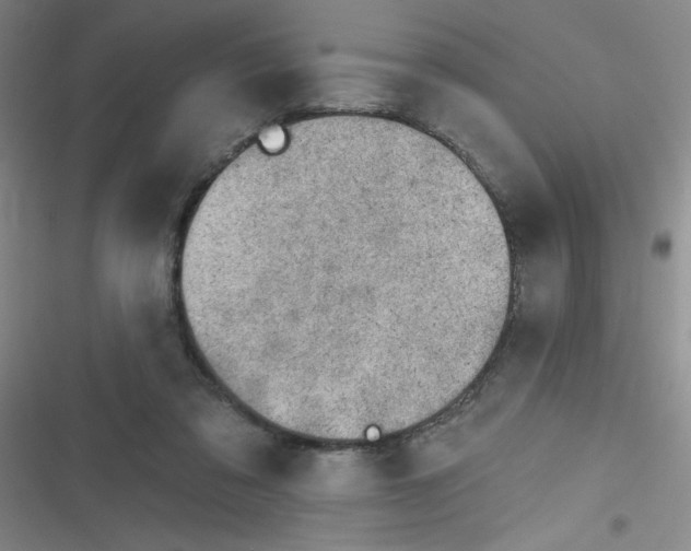 X0000116830309201001081443