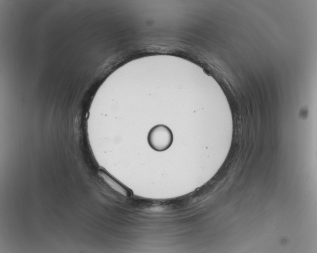 X0000116830312201001081443