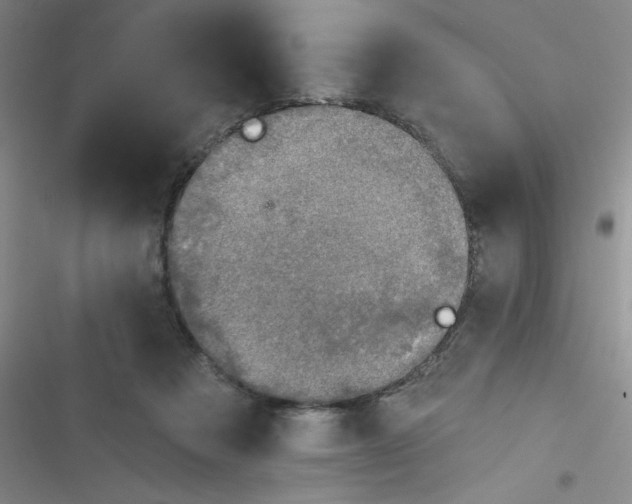 X0000116830313201001081443