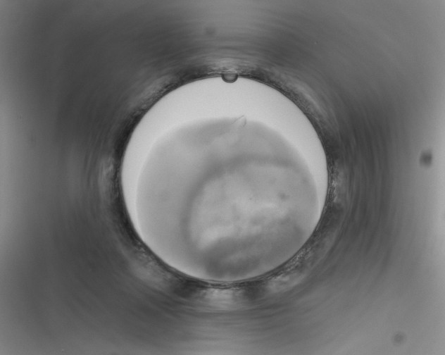 X0000116830314201001081443