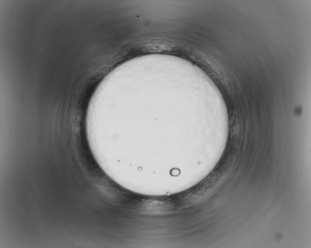 X0000116830315201001081443