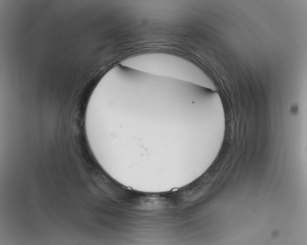 X0000116830316201001081443