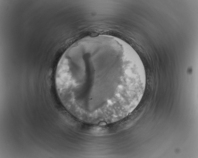 X0000116830319201001081443