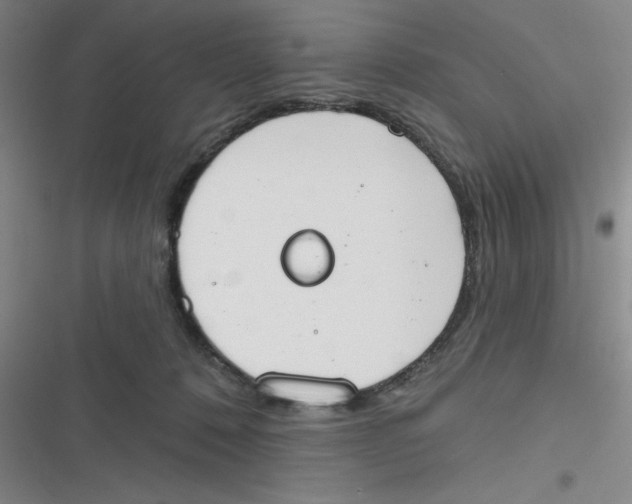 X0000116830320201001081443