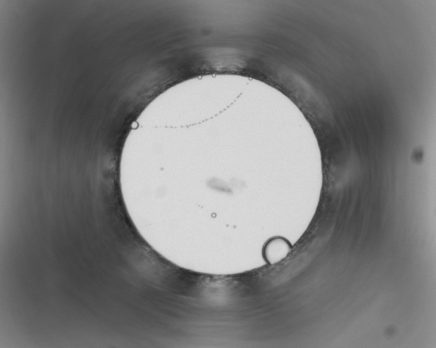 X0000116830321201001081443