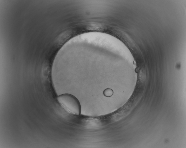 X0000116830322201001081443