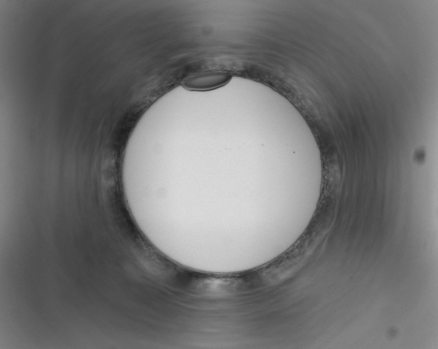 X0000116830323201001081443