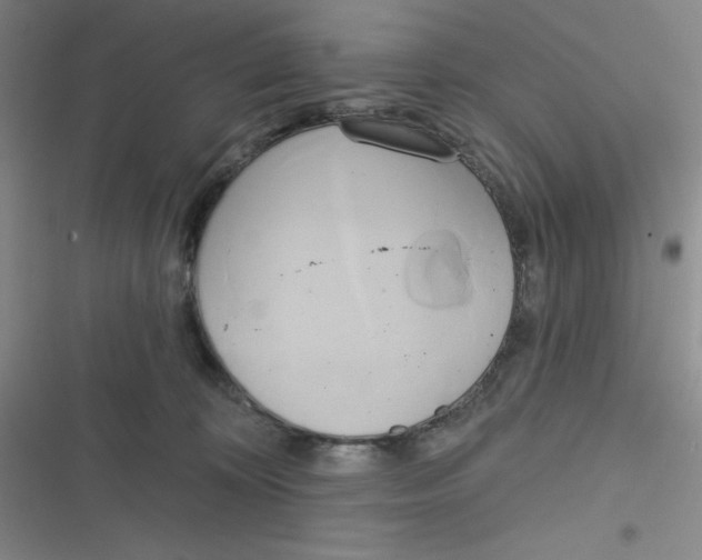 X0000116830324201001081443