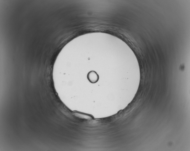 X0000116830325201001081443