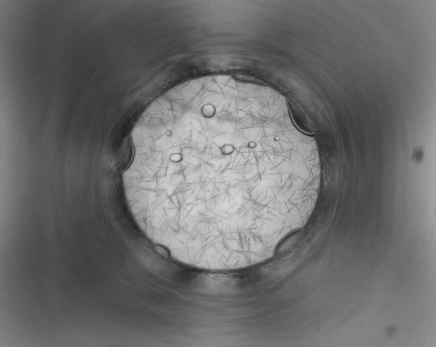 X0000116830327201001081443