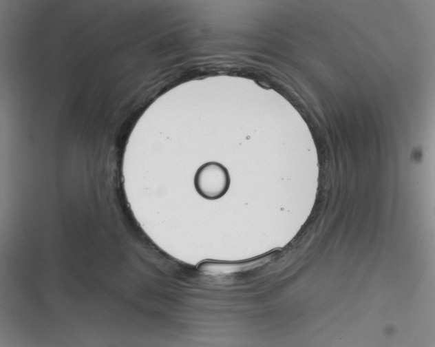 X0000116830328201001081443