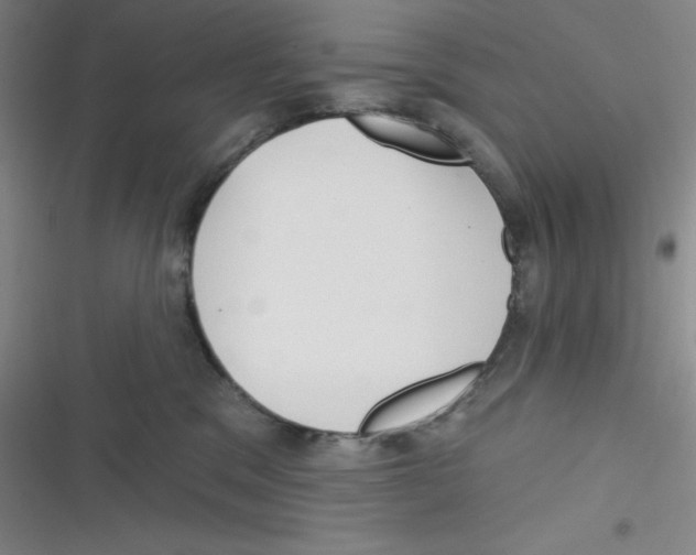 X0000116830329201001081443